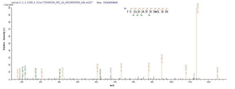 Based on the SEQUEST from database of E.coli host and target protein, the LC-MS/MS Analysis result of this product could indicate that this peptide derived from E.coli-expressed Homo sapiens (Human) vpx.Recombinant Human Immunodeficiency Virus Type 2 Subtype A Protein Vpx (VPX) Protein (His)