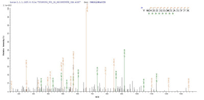 Based on the SEQUEST from database of E.coli host and target protein, the LC-MS/MS Analysis result of this product could indicate that this peptide derived from E.coli-expressed Homo sapiens (Human) vpx.Recombinant Human Immunodeficiency Virus Type 2 Subtype A Protein Vpx (VPX) Protein (His)