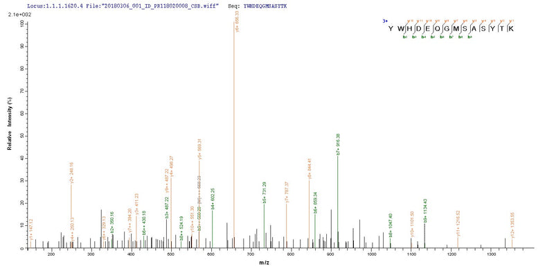 Based on the SEQUEST from database of E.coli host and target protein, the LC-MS/MS Analysis result of this product could indicate that this peptide derived from E.coli-expressed Homo sapiens (Human) vpx.Recombinant Human Immunodeficiency Virus Type 2 Subtype A Protein Vpx (VPX) Protein (His)