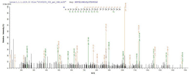 Based on the SEQUEST from database of E.coli host and target protein, the LC-MS/MS Analysis result of this product could indicate that this peptide derived from E.coli-expressed Clostridium botulinum N/A.Recombinant Clostridium Botulinum Botulinum Neurotoxin Type C1 (BONT/C) Protein (His-SUMO)