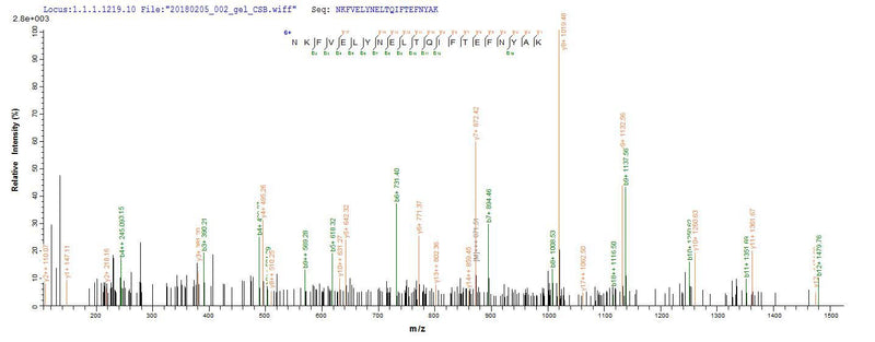 Based on the SEQUEST from database of E.coli host and target protein, the LC-MS/MS Analysis result of this product could indicate that this peptide derived from E.coli-expressed Clostridium botulinum N/A.Recombinant Clostridium Botulinum Botulinum Neurotoxin Type C1 (BONT/C) Protein (His-SUMO)