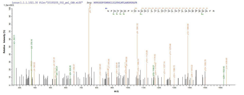 Based on the SEQUEST from database of E.coli host and target protein, the LC-MS/MS Analysis result of this product could indicate that this peptide derived from E.coli-expressed Clostridium botulinum N/A.Recombinant Clostridium Botulinum Botulinum Neurotoxin Type C1 (BONT/C) Protein (His-SUMO)