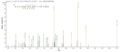 Based on the SEQUEST from database of E.coli host and target protein, the LC-MS/MS Analysis result of this product could indicate that this peptide derived from E.coli-expressed Influenza A virus (strain A/Wilson-Smith/1933 H1N1) NP.