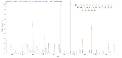 Based on the SEQUEST from database of E.coli host and target protein, the LC-MS/MS Analysis result of this product could indicate that this peptide derived from E.coli-expressed Influenza A virus (strain A/Equine/Prague/1/1956 H7N7) NP.