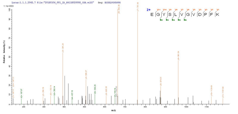 Based on the SEQUEST from database of E.coli host and target protein, the LC-MS/MS Analysis result of this product could indicate that this peptide derived from E.coli-expressed Influenza A virus (strain A/Equine/Prague/1/1956 H7N7) NP.