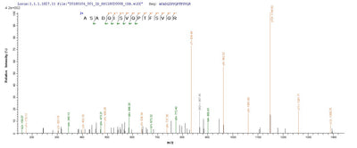 Based on the SEQUEST from database of E.coli host and target protein, the LC-MS/MS Analysis result of this product could indicate that this peptide derived from E.coli-expressed Influenza A virus (strain A/New Jersey/8/1976 H1N1) NP.Recombinant Influenza A Virus Nucleoprotein (NP) Protein (His-SUMO)