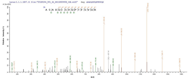 Based on the SEQUEST from database of E.coli host and target protein, the LC-MS/MS Analysis result of this product could indicate that this peptide derived from E.coli-expressed Influenza A virus (strain A/New Jersey/8/1976 H1N1) NP.Recombinant Influenza A Virus Nucleoprotein (NP) Protein (His-SUMO)