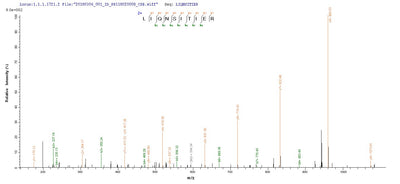 Based on the SEQUEST from database of E.coli host and target protein, the LC-MS/MS Analysis result of this product could indicate that this peptide derived from E.coli-expressed Influenza A virus (strain A/New Jersey/8/1976 H1N1) NP.Recombinant Influenza A Virus Nucleoprotein (NP) Protein (His-SUMO)