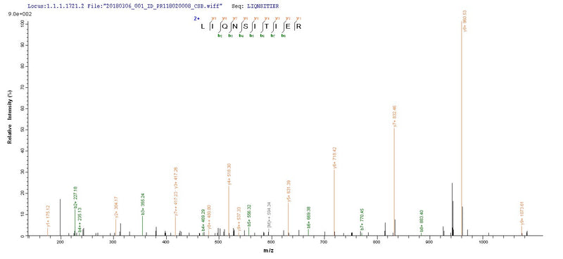 Based on the SEQUEST from database of E.coli host and target protein, the LC-MS/MS Analysis result of this product could indicate that this peptide derived from E.coli-expressed Influenza A virus (strain A/New Jersey/8/1976 H1N1) NP.Recombinant Influenza A Virus Nucleoprotein (NP) Protein (His-SUMO)