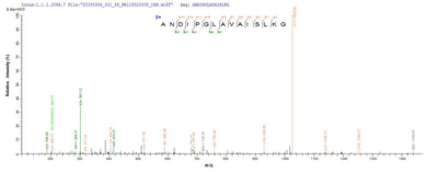 Based on the SEQUEST from database of E.coli host and target protein, the LC-MS/MS Analysis result of this product could indicate that this peptide derived from E.coli-expressed Pseudomonas aeruginosa (strain ATCC 15692 / DSM 22644 / CIP 104116 / JCM 14847 / LMG 12228 / 1C / PRS 101 / PAO1) ampC.Recombinant Pseudomonas Aeruginosa Beta-Lactamase (AMPC) Protein (His-SUMO)