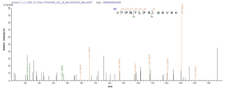 Based on the SEQUEST from database of E.coli host and target protein, the LC-MS/MS Analysis result of this product could indicate that this peptide derived from E.coli-expressed Pseudomonas aeruginosa (strain ATCC 15692 / DSM 22644 / CIP 104116 / JCM 14847 / LMG 12228 / 1C / PRS 101 / PAO1) ampC.Recombinant Pseudomonas Aeruginosa Beta-Lactamase (AMPC) Protein (His-SUMO)