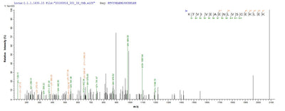 Based on the SEQUEST from database of E.coli host and target protein, the LC-MS/MS Analysis result of this product could indicate that this peptide derived from E.coli-expressed Clostridium acetobutylicum (strain ATCC 824 / DSM 792 / JCM 1419 / LMG 5710 / VKM B-1787) ctfA.