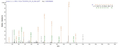 Based on the SEQUEST from database of E.coli host and target protein, the LC-MS/MS Analysis result of this product could indicate that this peptide derived from E.coli-expressed Clostridium acetobutylicum (strain ATCC 824 / DSM 792 / JCM 1419 / LMG 5710 / VKM B-1787) ctfA.