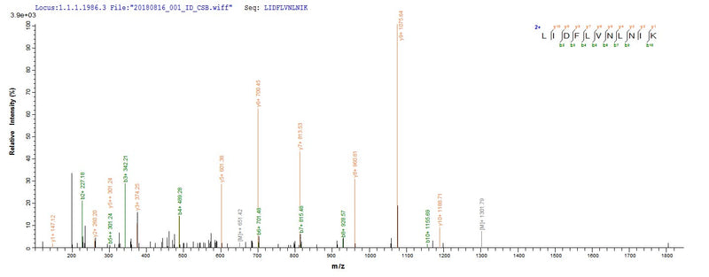 Based on the SEQUEST from database of E.coli host and target protein, the LC-MS/MS Analysis result of this product could indicate that this peptide derived from E.coli-expressed Clostridium acetobutylicum (strain ATCC 824 / DSM 792 / JCM 1419 / LMG 5710 / VKM B-1787) ctfA.