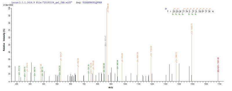 Based on the SEQUEST from database of E.coli host and target protein, the LC-MS/MS Analysis result of this product could indicate that this peptide derived from E.coli-expressed Escherichia coli cfaE.