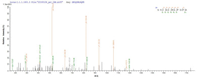 Based on the SEQUEST from database of E.coli host and target protein, the LC-MS/MS Analysis result of this product could indicate that this peptide derived from E.coli-expressed Escherichia coli cfaE.