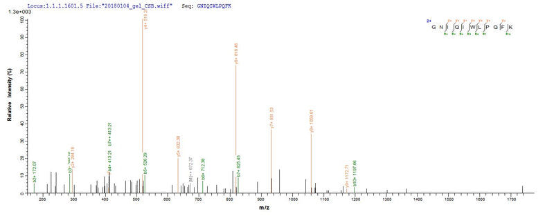 Based on the SEQUEST from database of E.coli host and target protein, the LC-MS/MS Analysis result of this product could indicate that this peptide derived from E.coli-expressed Escherichia coli cfaE.