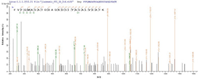 Based on the SEQUEST from database of E.coli host and target protein, the LC-MS/MS Analysis result of this product could indicate that this peptide derived from E.coli-expressed Crimean-Congo hemorrhagic fever virus (isolate C68031) (CCHFV) N.Recombinant Crimean-Congo Hemorrhagic Fever Virus Nucleoprotein (N) Protein (His-B2M)