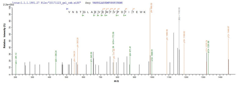 Based on the SEQUEST from database of E.coli host and target protein, the LC-MS/MS Analysis result of this product could indicate that this peptide derived from E.coli-expressed Mus musculus (Mouse) Mug1.Recombinant Mouse Murinoglobulin-1 (MUG1) Protein (His)