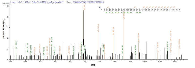 Based on the SEQUEST from database of E.coli host and target protein, the LC-MS/MS Analysis result of this product could indicate that this peptide derived from E.coli-expressed Mus musculus (Mouse) Mug1.Recombinant Mouse Murinoglobulin-1 (MUG1) Protein (His)