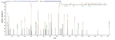 Based on the SEQUEST from database of E.coli host and target protein, the LC-MS/MS Analysis result of this product could indicate that this peptide derived from E.coli-expressed Homo sapiens (Human) HLA-A.Recombinant Human Hla Class I Histocompatibility Antigen, A Alpha Chain (HLA-A) Protein (His)