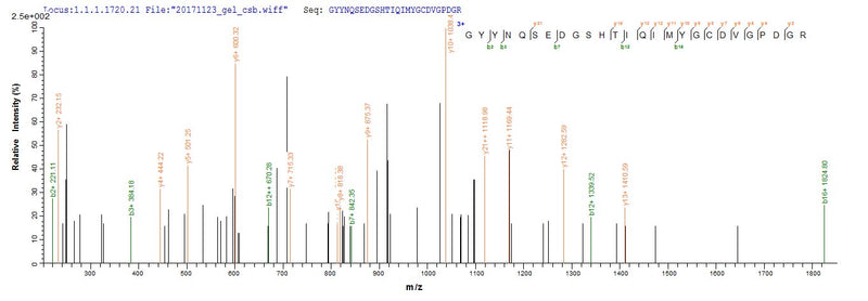 Based on the SEQUEST from database of E.coli host and target protein, the LC-MS/MS Analysis result of this product could indicate that this peptide derived from E.coli-expressed Homo sapiens (Human) HLA-A.Recombinant Human Hla Class I Histocompatibility Antigen, A Alpha Chain (HLA-A) Protein (His)