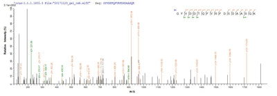 Based on the SEQUEST from database of E.coli host and target protein, the LC-MS/MS Analysis result of this product could indicate that this peptide derived from E.coli-expressed Homo sapiens (Human) HLA-A.Recombinant Human Hla Class I Histocompatibility Antigen, A Alpha Chain (HLA-A) Protein (His)