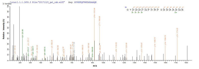 Based on the SEQUEST from database of E.coli host and target protein, the LC-MS/MS Analysis result of this product could indicate that this peptide derived from E.coli-expressed Homo sapiens (Human) HLA-A.Recombinant Human Hla Class I Histocompatibility Antigen, A Alpha Chain (HLA-A) Protein (His)