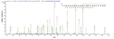 Based on the SEQUEST from database of E.coli host and target protein, the LC-MS/MS Analysis result of this product could indicate that this peptide derived from E.coli-expressed Neosartorya fumigata (strain ATCC MYA-4609 / Af293 / CBS 101355 / FGSC A1100) (Aspergillus fumigatus) alp1.