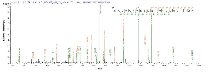 Based on the SEQUEST from database of E.coli host and target protein, the LC-MS/MS Analysis result of this product could indicate that this peptide derived from E.coli-expressed Neosartorya fumigata (strain ATCC MYA-4609 / Af293 / CBS 101355 / FGSC A1100) (Aspergillus fumigatus) alp1.