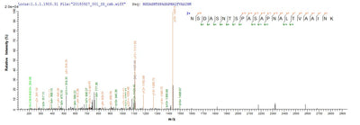 Based on the SEQUEST from database of E.coli host and target protein, the LC-MS/MS Analysis result of this product could indicate that this peptide derived from E.coli-expressed Neosartorya fumigata (strain ATCC MYA-4609 / Af293 / CBS 101355 / FGSC A1100) (Aspergillus fumigatus) alp1.