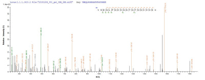 Based on the SEQUEST from database of E.coli host and target protein, the LC-MS/MS Analysis result of this product could indicate that this peptide derived from E.coli-expressed Arabidopsis thaliana (Mouse-ear cress) XERO2.Recombinant Arabidopsis Thaliana Dehydrin Xero 2 (XERO2) Protein (His&Myc)
