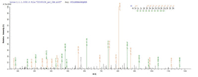 Based on the SEQUEST from database of E.coli host and target protein, the LC-MS/MS Analysis result of this product could indicate that this peptide derived from E.coli-expressed Arachis hypogaea (Peanut) N/A.Recombinant Arachis Hypogaea Allergen Ara H 1, Clone P17 Protein (His)