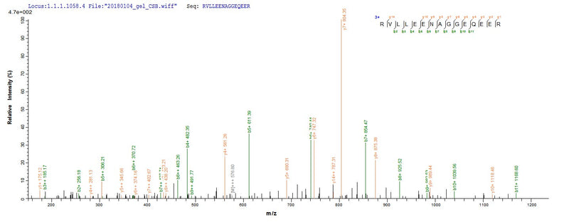 Based on the SEQUEST from database of E.coli host and target protein, the LC-MS/MS Analysis result of this product could indicate that this peptide derived from E.coli-expressed Arachis hypogaea (Peanut) N/A.Recombinant Arachis Hypogaea Allergen Ara H 1, Clone P17 Protein (His)