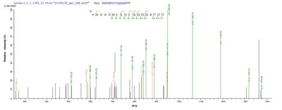 Based on the SEQUEST from database of E.coli host and target protein, the LC-MS/MS Analysis result of this product could indicate that this peptide derived from E.coli-expressed Arachis hypogaea (Peanut) N/A.Recombinant Arachis Hypogaea Allergen Ara H 1, Clone P17 Protein (His)