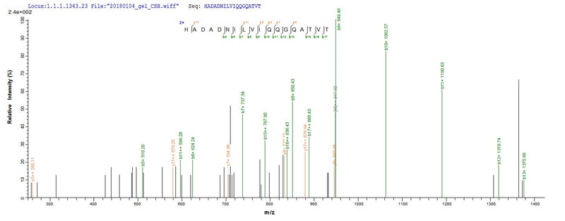 Based on the SEQUEST from database of E.coli host and target protein, the LC-MS/MS Analysis result of this product could indicate that this peptide derived from E.coli-expressed Arachis hypogaea (Peanut) N/A.Recombinant Arachis Hypogaea Allergen Ara H 1, Clone P17 Protein (His)