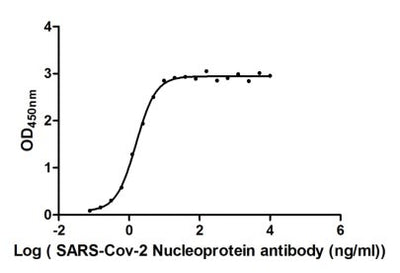 Activity Measured by its binding ability in a functional ELISA. Immobilized SARS-CoV-2-N at 2 μg/ml can bind SARS-CoV-2-N Antibody , the EC 50 of SARS-CoV-2-N protein is 1.368 -1.804 ng/ml.Recombinant Sars-Cov-2 Nucleoprotein (N) Protein (His), Active