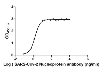 Activity Measured by its binding ability in a functional ELISA. Immobilized SARS-CoV-2-N at 2 μg/ml can bind SARS-CoV-2-N Antibody , the EC 50 of SARS-CoV-2-N protein is 1.368 -1.804 ng/ml.Recombinant Sars-Cov-2 Nucleoprotein (N) Protein (His), Active