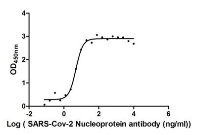 Activity Measured by its binding ability in a functional ELISA. Immobilized SARS-CoV-2-N at 2 μg/ml can bind SARS-CoV-2-N Antibody , the EC 50 of SARS-CoV-2-N protein is 4.267-5.568 ng/ml. Biological Activity AssayRecombinant Sars-Cov-2 Nucleoprotein (N) Protein (His), Active