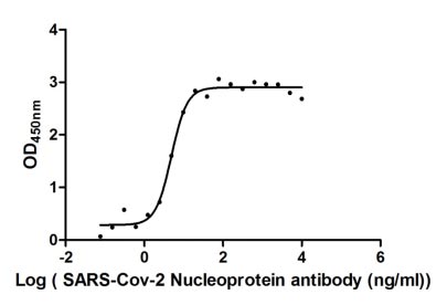 Activity Measured by its binding ability in a functional ELISA. Immobilized SARS-CoV-2-N at 2 μg/ml can bind SARS-CoV-2-N Antibody , the EC 50 of SARS-CoV-2-N protein is 4.267-5.568 ng/ml. Biological Activity AssayRecombinant Sars-Cov-2 Nucleoprotein (N) Protein (His), Active