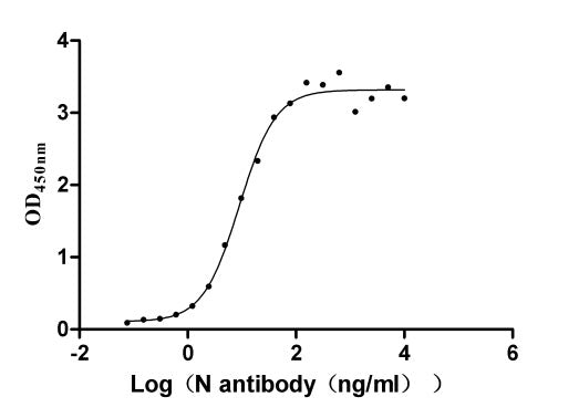 Activity Measured by its binding ability in a functional ELISA. Immobilized N ) at 2 μg/ml can bind N Mouse Monoclonal Antibody, the EC 50 of N Mouse Monoclonal Antibody is 7.617-10.60 ng/ml. Biological Activity Assay