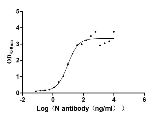 Activity Measured by its binding ability in a functional ELISA. Immobilized N ) at 2 μg/ml can bind N Recombinant Antibody, the EC 50 of N Recombinant Antibody is 2.785-4.100 ng/ml. Biological Activity Assay