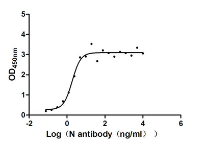 Activity Measured by its binding ability in a functional ELISA. Immobilized N) at 2 μg/ml can bind N Recombinant Antibody, the EC 50 of N Recombinant Antibody is 1.466 -2.382 ng/ml.
