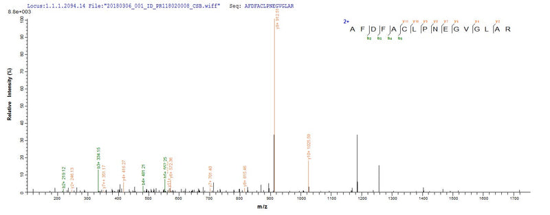 Based on the SEQUEST from database of E.coli host and target protein, the LC-MS/MS Analysis result of this product could indicate that this peptide derived from E.coli-expressed Escherichia coli (strain K12) ppsA.
