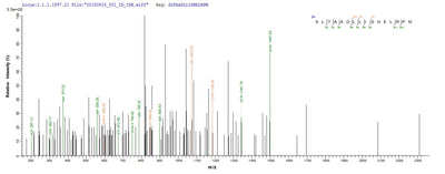 Based on the SEQUEST from database of E.coli host and target protein, the LC-MS/MS Analysis result of this product could indicate that this peptide derived from E.coli-expressed Clostridium acetobutylicum (strain ATCC 824 / DSM 792 / JCM 1419 / LMG 5710 / VKM B-1787) ctfB.