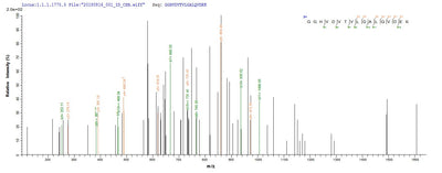 Based on the SEQUEST from database of E.coli host and target protein, the LC-MS/MS Analysis result of this product could indicate that this peptide derived from E.coli-expressed Clostridium acetobutylicum (strain ATCC 824 / DSM 792 / JCM 1419 / LMG 5710 / VKM B-1787) ctfB.Recombinant Clostridium Acetobutylicum Butyrate--Acetoacetate Coa-Transferase Subunit B (CTFB) Protein (His&Myc)