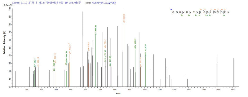 Based on the SEQUEST from database of E.coli host and target protein, the LC-MS/MS Analysis result of this product could indicate that this peptide derived from E.coli-expressed Clostridium acetobutylicum (strain ATCC 824 / DSM 792 / JCM 1419 / LMG 5710 / VKM B-1787) ctfB.Recombinant Clostridium Acetobutylicum Butyrate--Acetoacetate Coa-Transferase Subunit B (CTFB) Protein (His&Myc)
