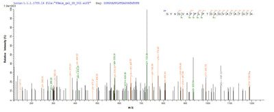 Based on the SEQUEST from database of E.coli host and target protein, the LC-MS/MS Analysis result of this product could indicate that this peptide derived from E.coli-expressed Chlamydia pneumoniae (Chlamydophila pneumoniae) ompA.