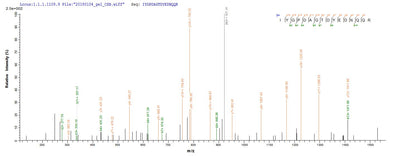Based on the SEQUEST from database of E.coli host and target protein, the LC-MS/MS Analysis result of this product could indicate that this peptide derived from E.coli-expressed Triticum aestivum (Wheat) WAXY.