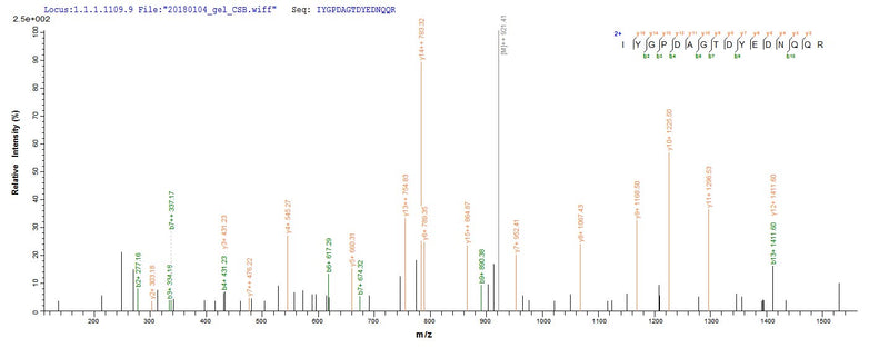 Based on the SEQUEST from database of E.coli host and target protein, the LC-MS/MS Analysis result of this product could indicate that this peptide derived from E.coli-expressed Triticum aestivum (Wheat) WAXY.